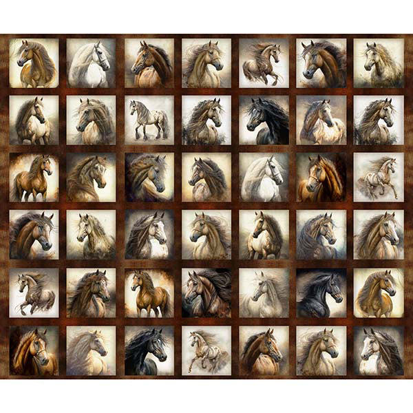 Stallion Song