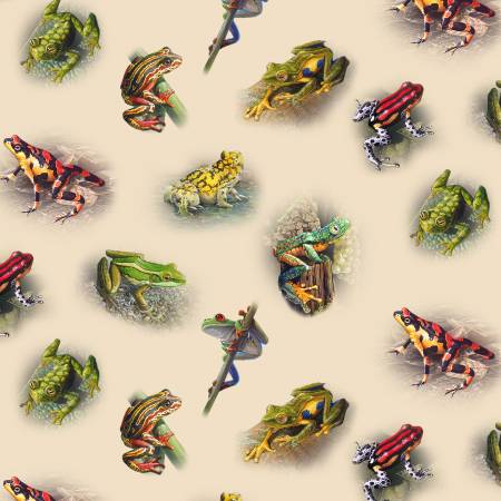 Amazing Frogs