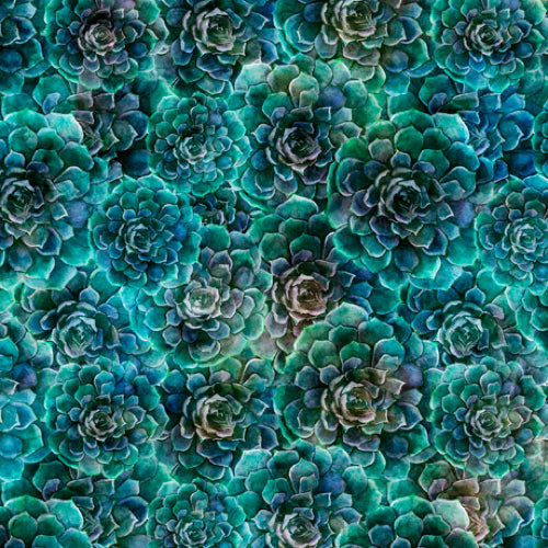 Blossom