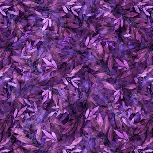 Blossom