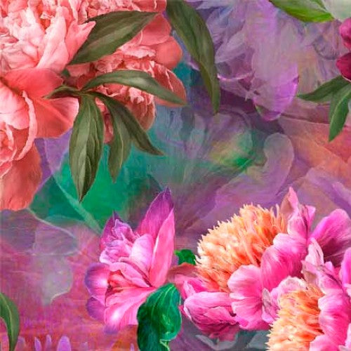 Peony Romance