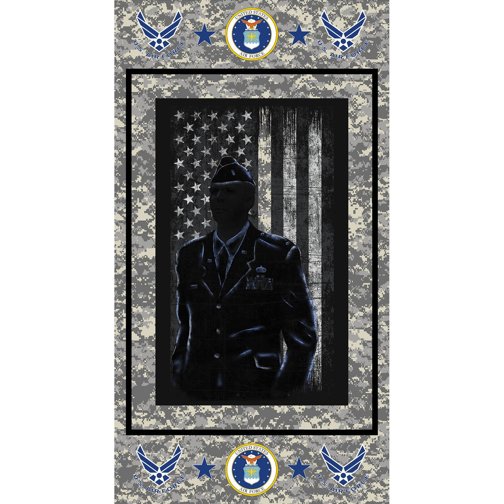 Air Force Panel