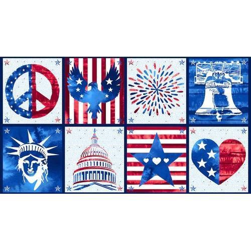 One Lane, One Flag Panel