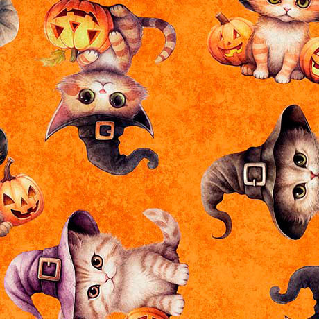 QT Cuties- Halloween Cats