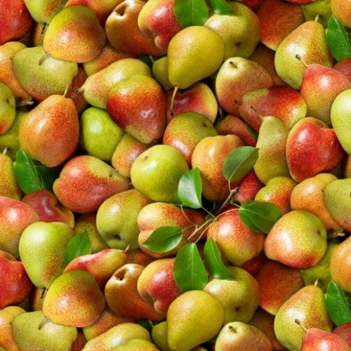 Food Festival Pears